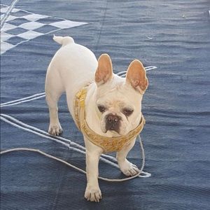 Meet your Posher, Shari